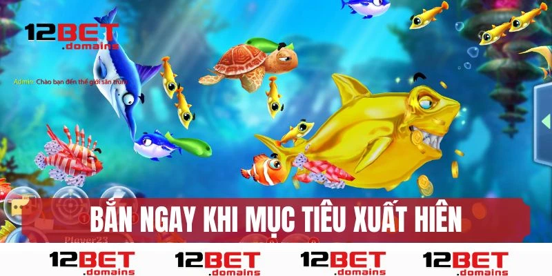 Bắn khi cá vừa xuất hiện