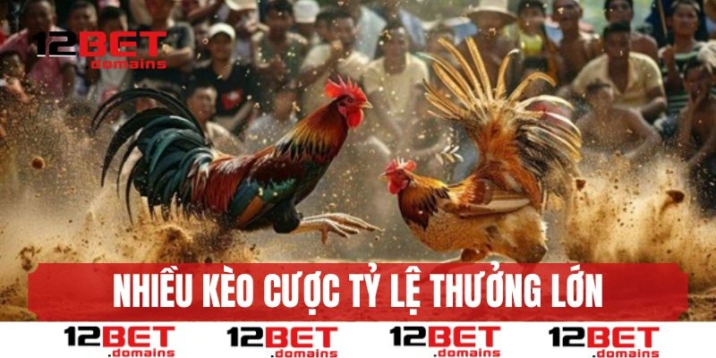 Cung cấp nhiều kèo cược, tỷ lệ thưởng cạnh tranh