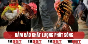 Đảm bảo chất lượng phát sóng