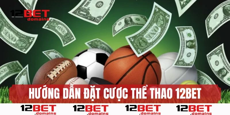 Hướng dẫn cách đặt cược