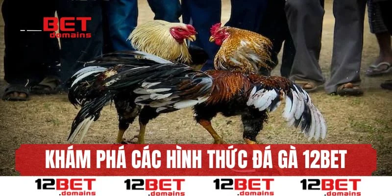 Khám phá các hình thức đá gà nổi bật tại 12BET