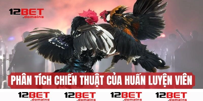 Phân tích chiến thuật của các huấn luyện viên