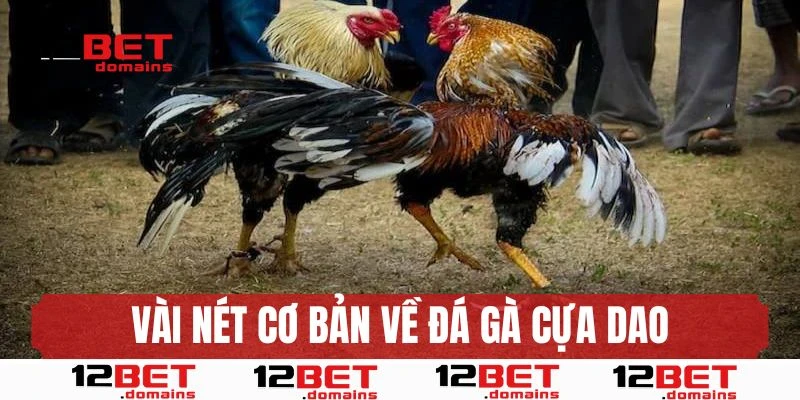Vài nét cơ bản nhất về đá gà cựa dao anh em cần nắm